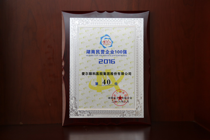 湖南民營(yíng)企業(yè)100強(qiáng)